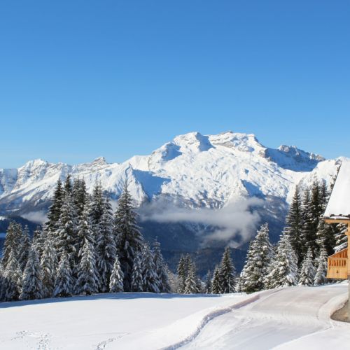 La Perle des Cimes - Blending into the landscape
